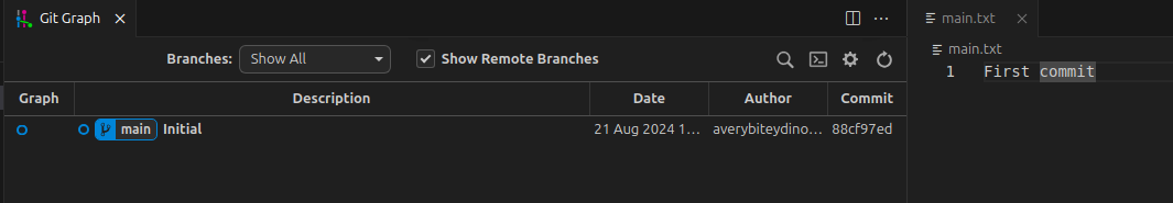 vscode showing a single initial commit